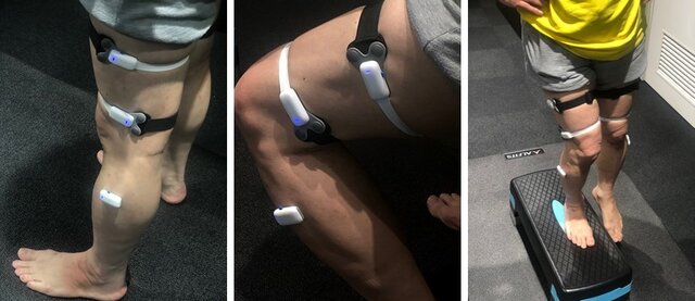 筋骨格センサーを活用したオンラインフィットネスの実証実験が実施