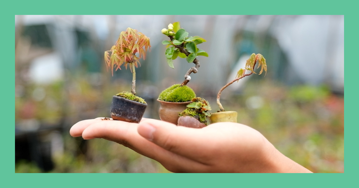 fb976a78-7dc6-447c-a945-