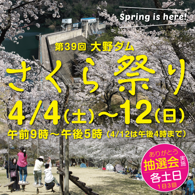 第39回大野ダムさくら祭り開催