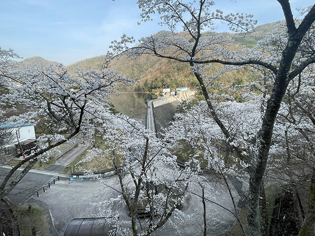 3月30日午後4時30分