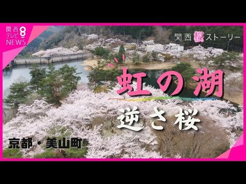 美山大野の魅力を動画でご覧ください