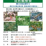 【東京都】【亀戸中央公園】10/12（月祝）「自然観察会～実りの秋を探そう～」を開催します！