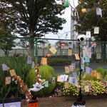 【東京都】【中川公園】10/1(木)～10/31(土)　ハロフィンの飾りつけに参加しよう！