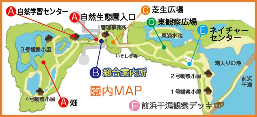 会場レイアウト及びイベント内容