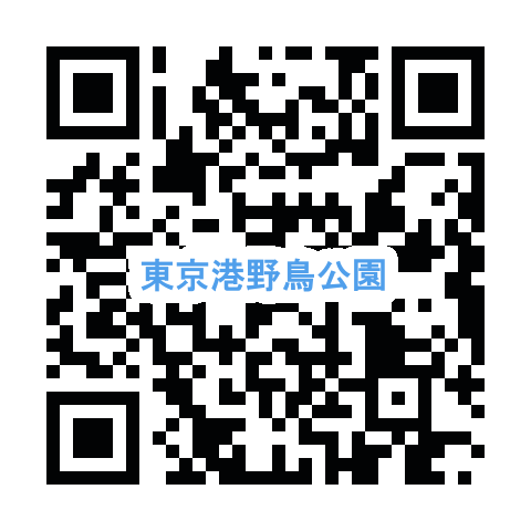 ＱＲコード