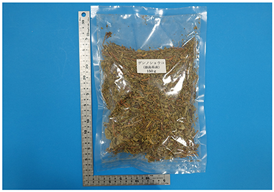 写真1