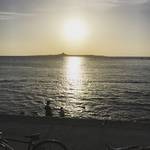 備瀬のフクギ並木。癒やしスポットとして人気ですが、実は「夕日」に行くのがおすすめ