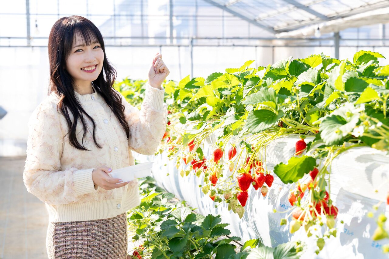 いちご狩り×ショッピングを楽しむ春さんぽ♪酒々井プレミアム・アウトレットと山武市のいちご農園を巡ろう