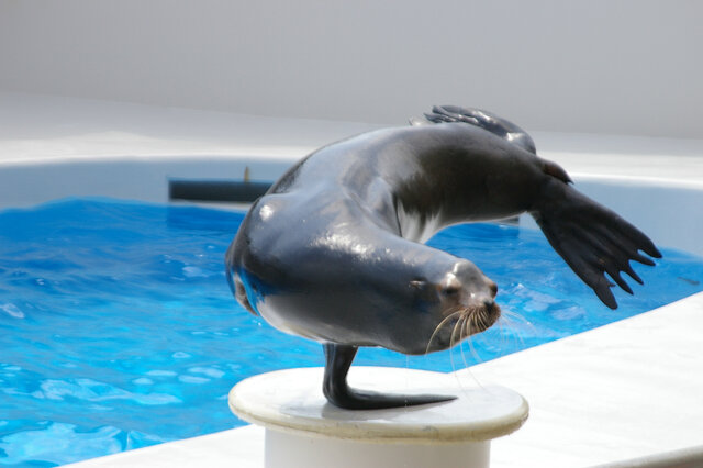 千葉は遊び場の宝庫 大人も子供も楽しめるスポット11選 Premium Outlets Times 千葉は遊び場の宝庫 大人も子供も楽しめるスポット11選 Premium Outlets Times