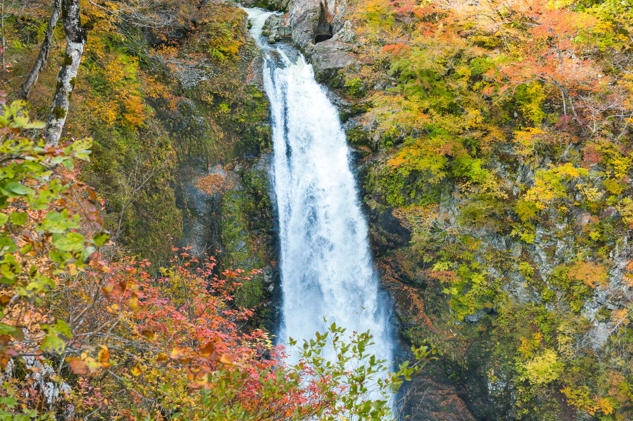 紅葉と秋保大滝
