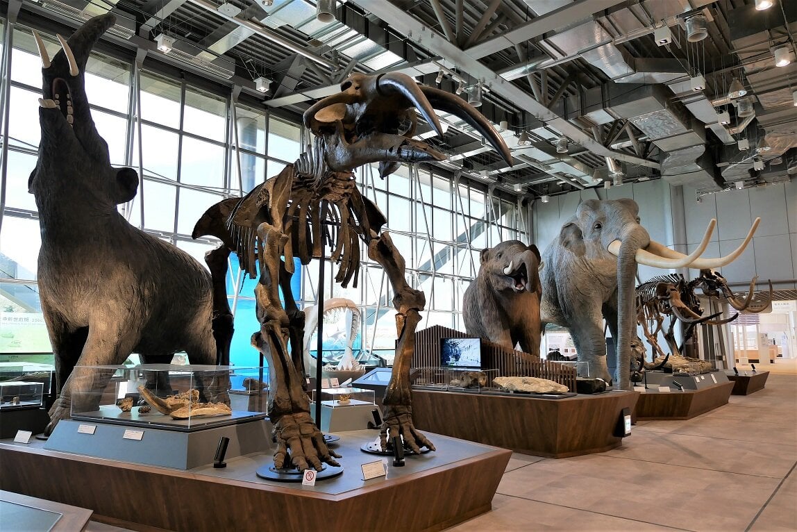 HOKUSHU仙台市科学館の4階展示室