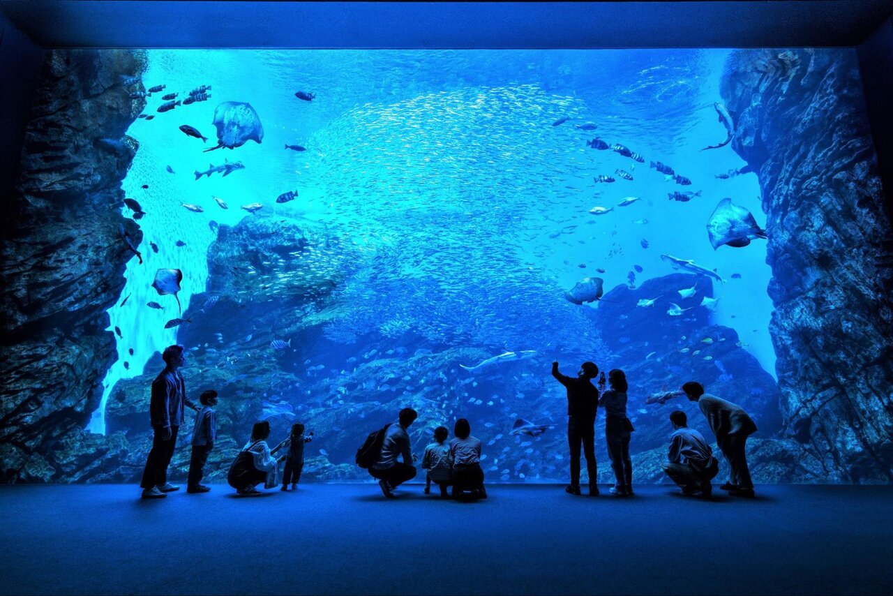 仙台うみの杜水族館の大水槽