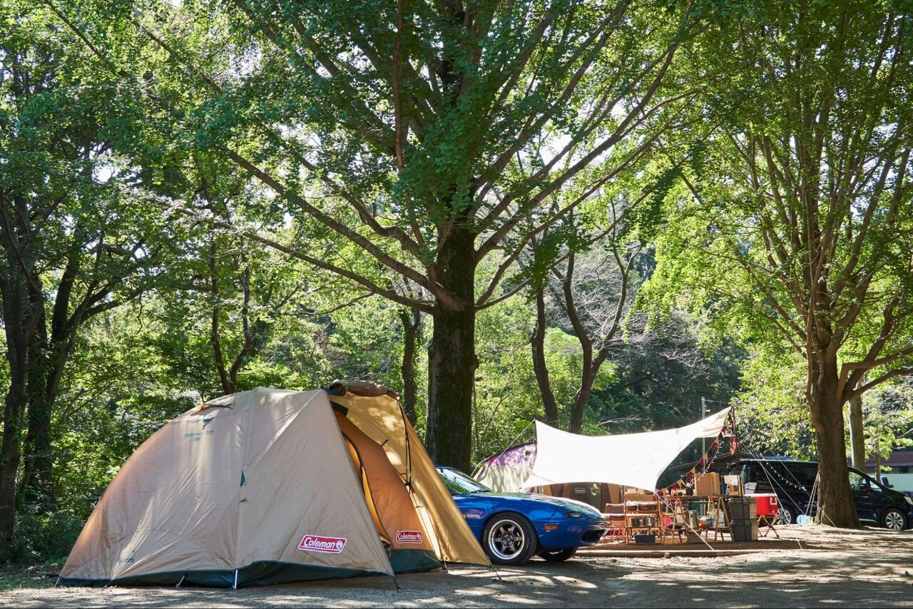 清水公園内のキャンプ場