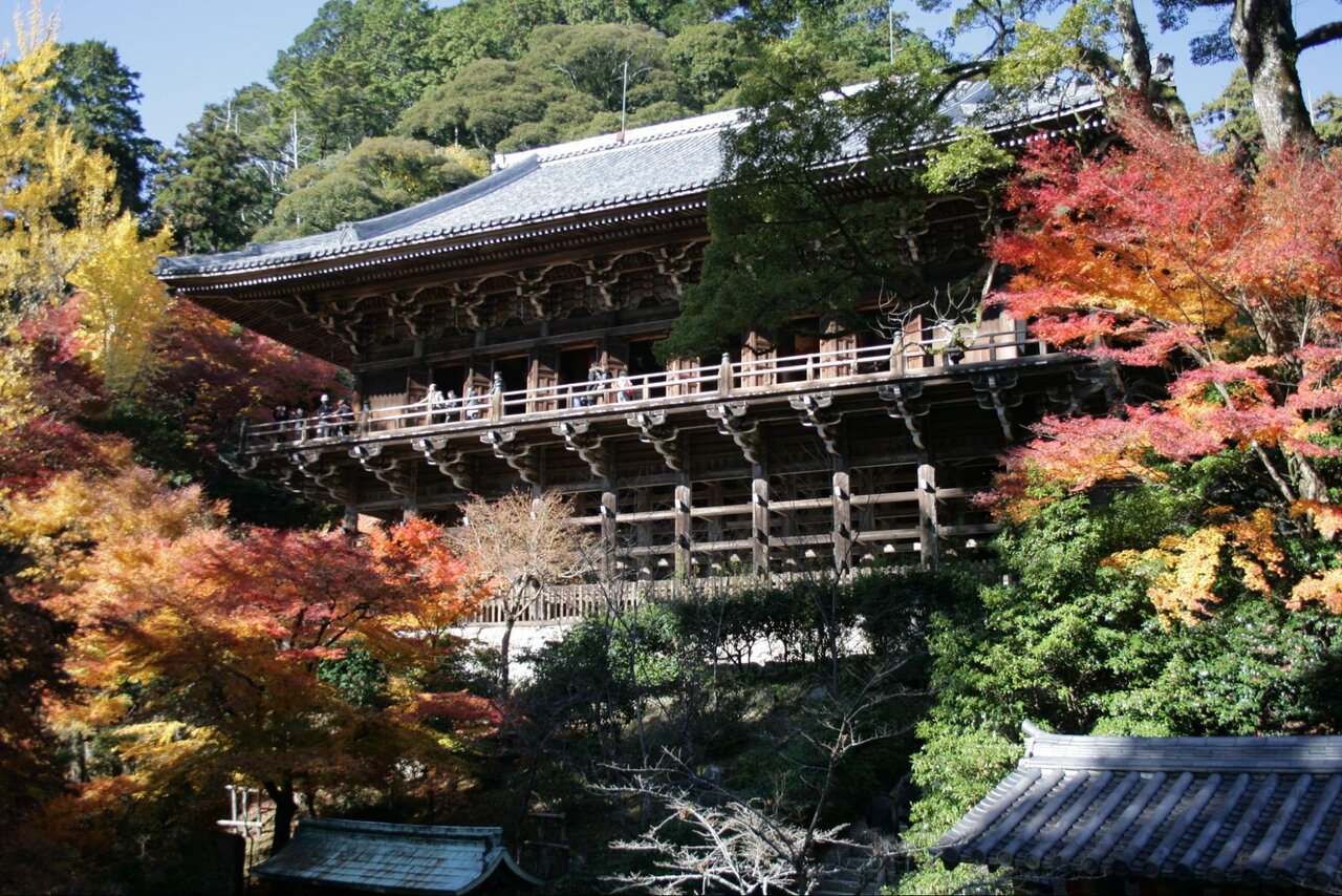 紅葉で彩られる摩尼殿