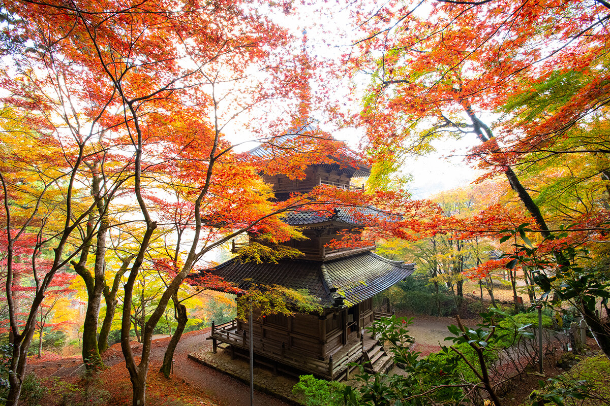 紅葉で彩られる高源寺