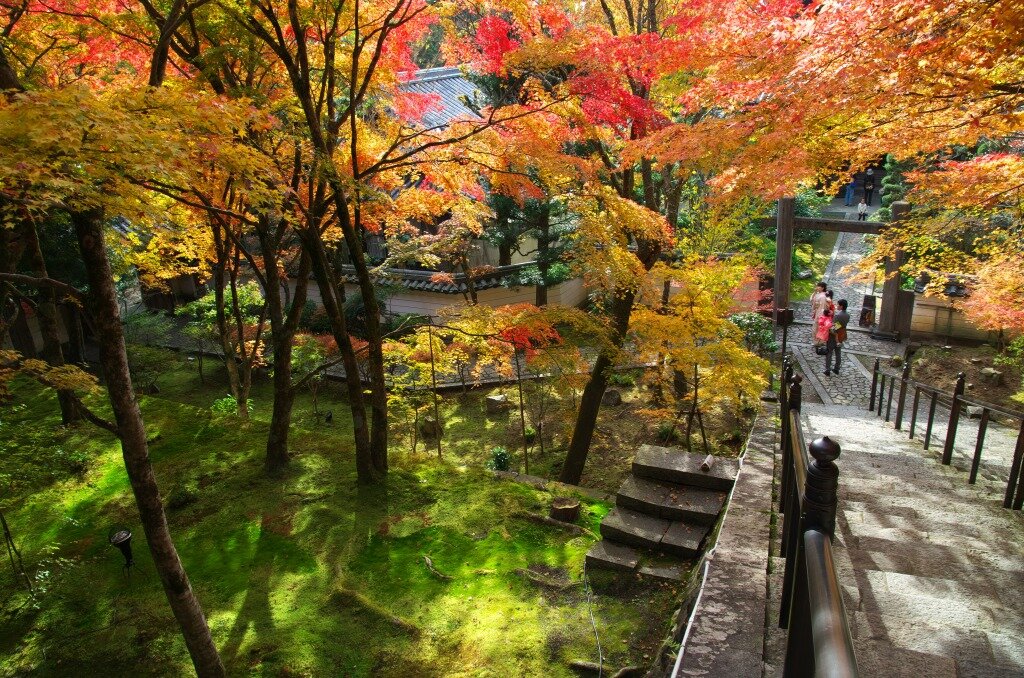 紅葉で彩られる播州清水寺