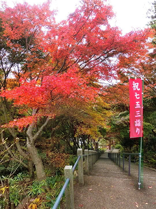 紅葉で彩られる摩耶山天上寺