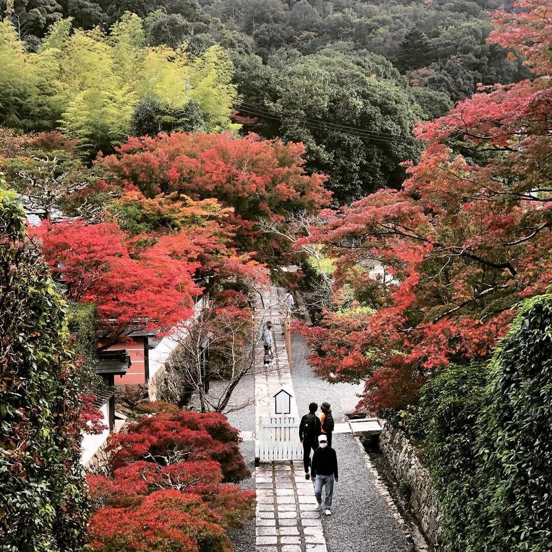 紅葉した満願寺