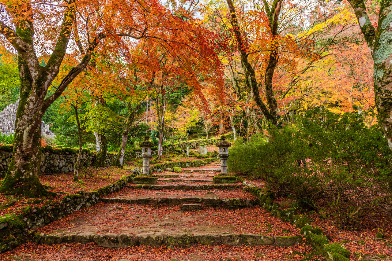 お寺の紅葉