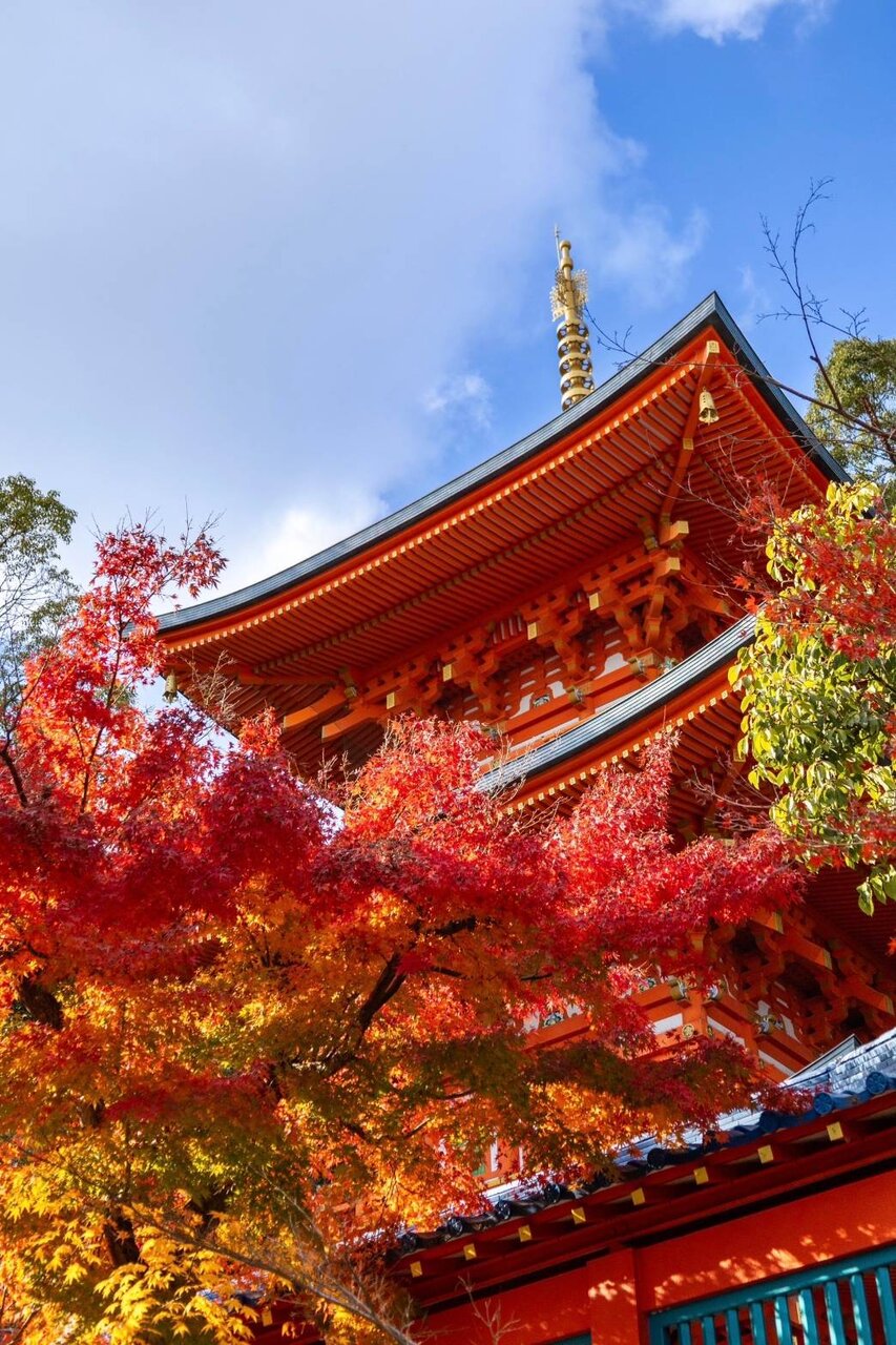 須磨寺の紅葉