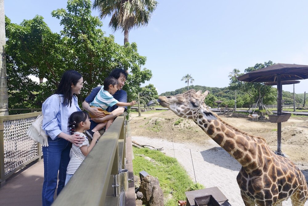 サファリワールドのキリンテラスでキリンにえさをあげる家族