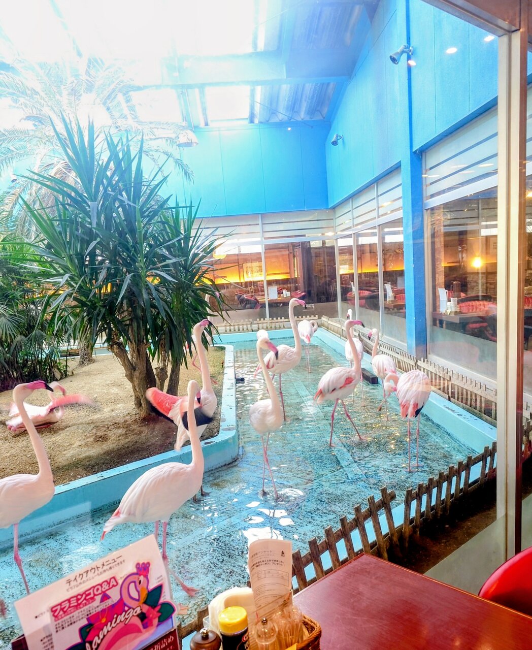 メヒコ つくばフラミンゴ館の店内