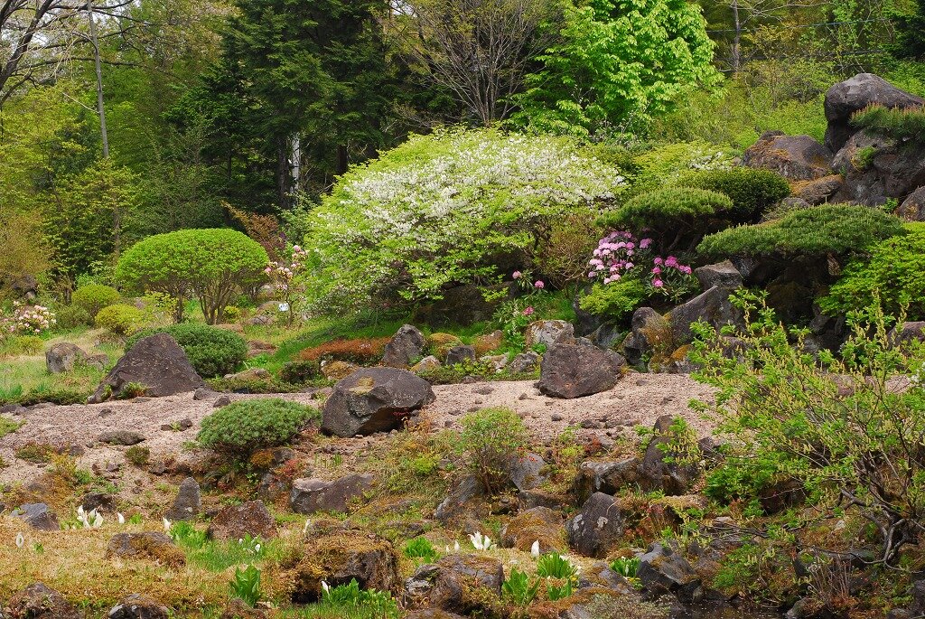 仙台市野草園の高山植物区