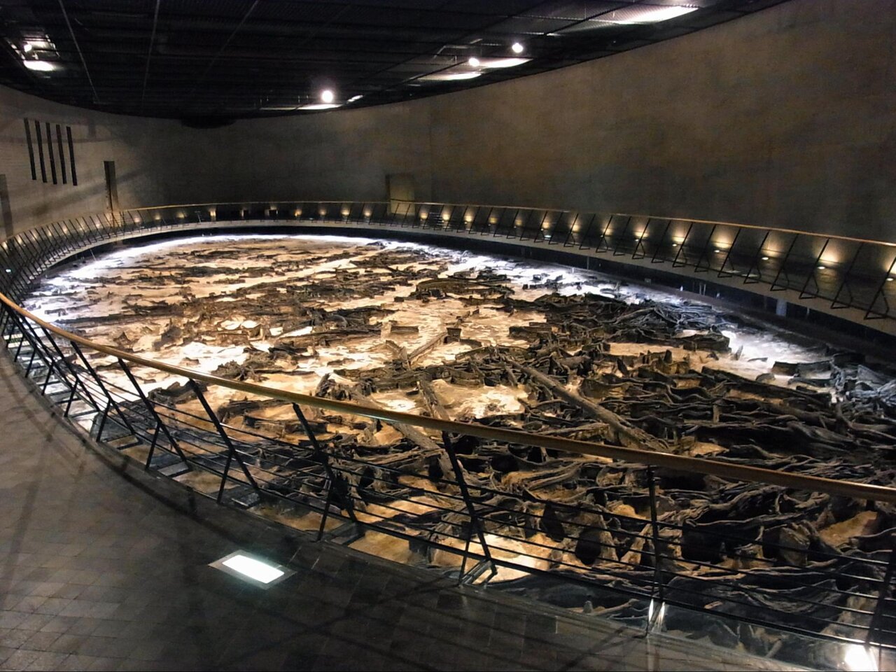 地底の森ミュージアムの地下展示室