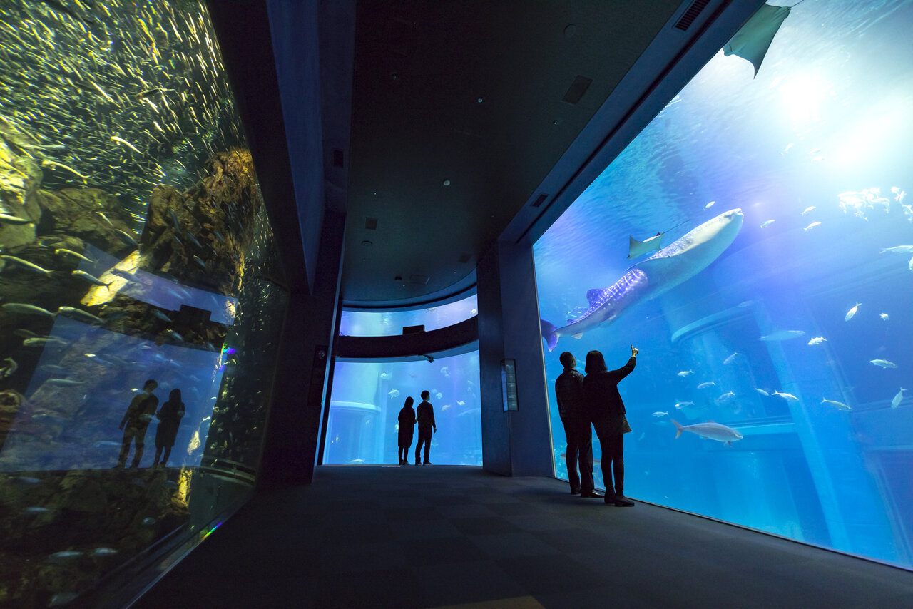 海遊館の館内