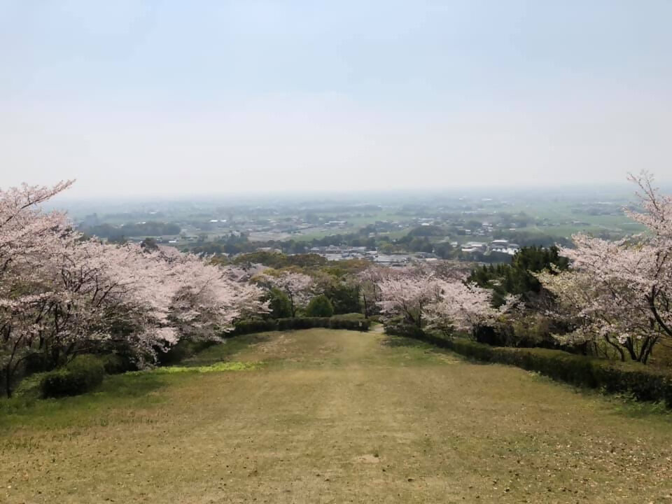 桜が見頃の金立公園