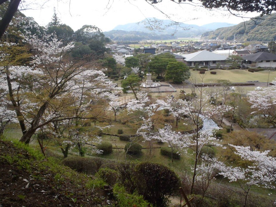 春の西渓公園を上から見た景色