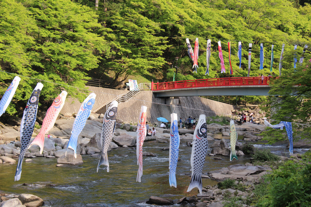 こいのぼりが泳ぐ様子