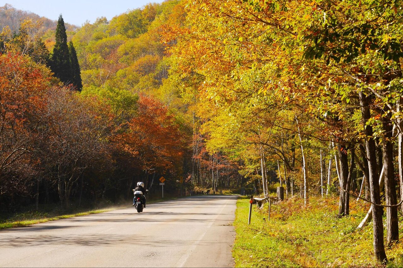 紅葉が美しい秋の飛騨美濃せせらぎ街道
