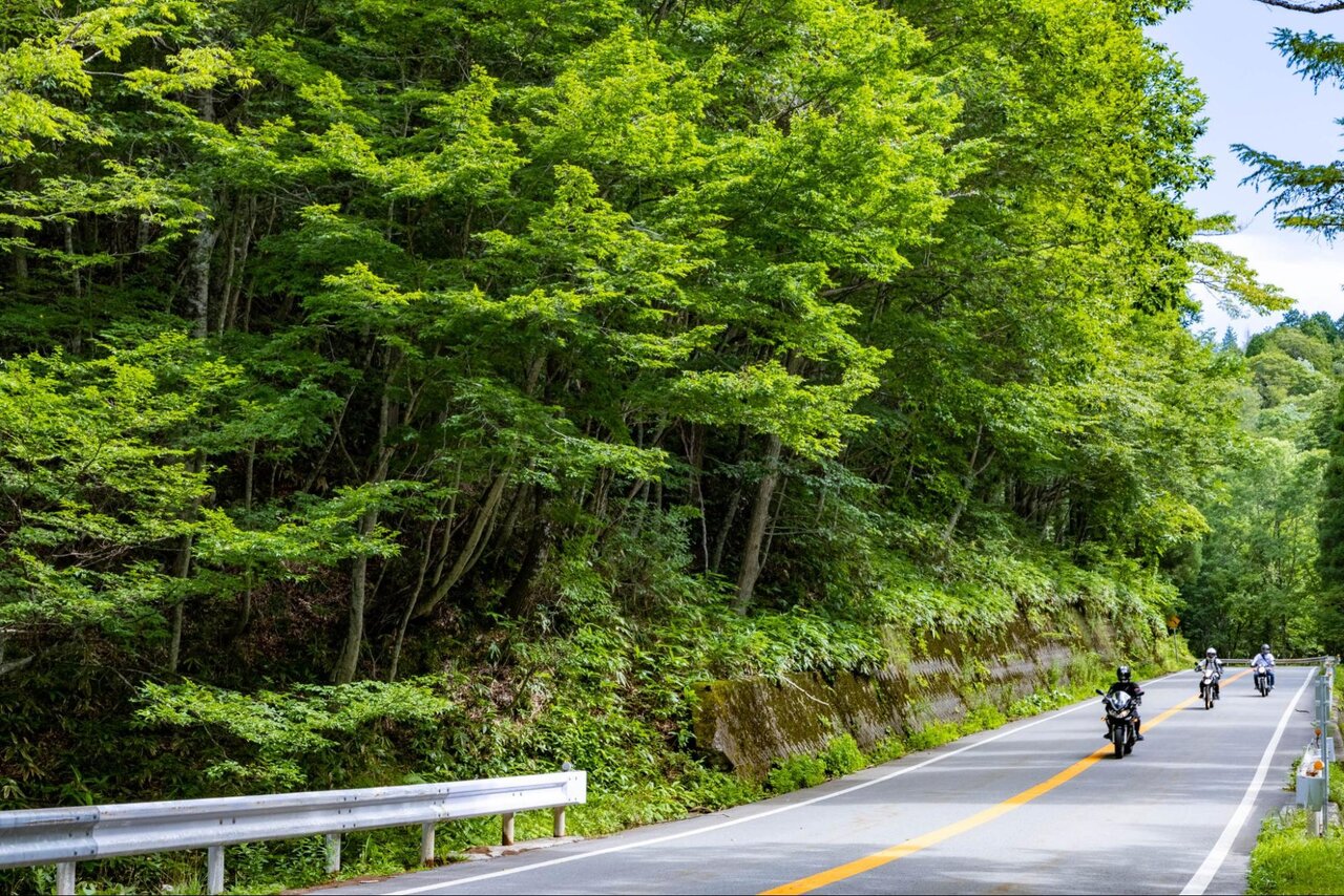 新緑が広がる飛騨美濃せせらぎ街道