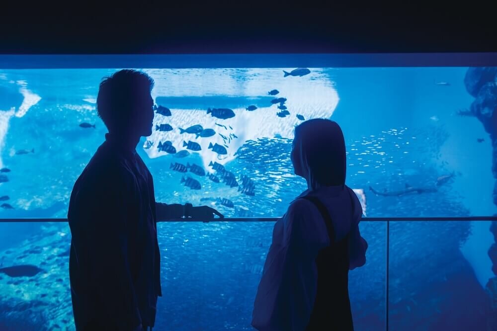 仙台うみの杜水族館の大水槽前に立つカップル