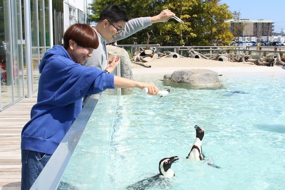 仙台うみの杜水族館のペンギンフィーディング