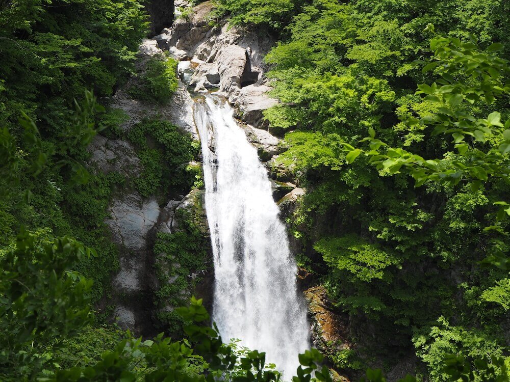 豊かな緑と秋保大滝