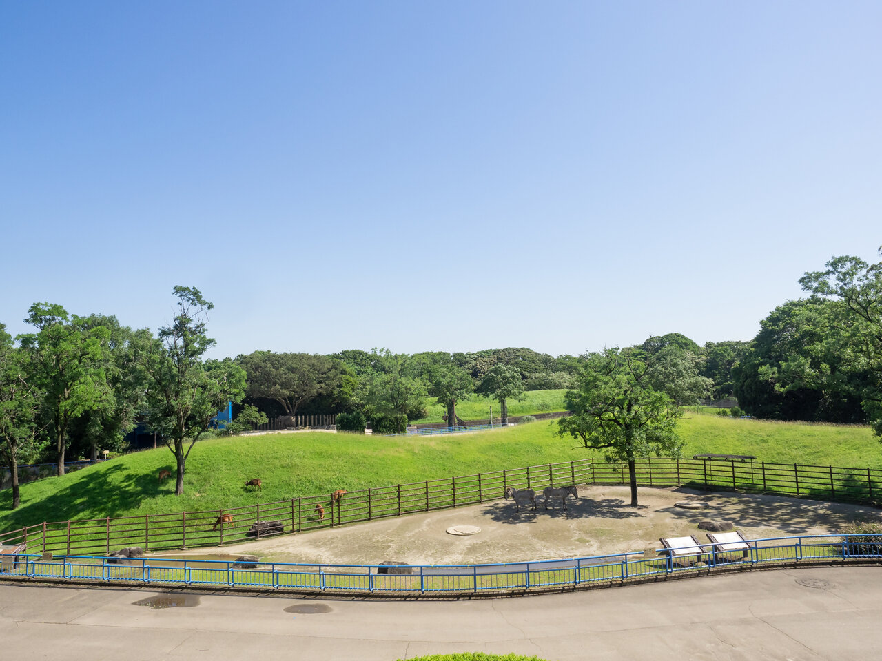 展望デッキの景色