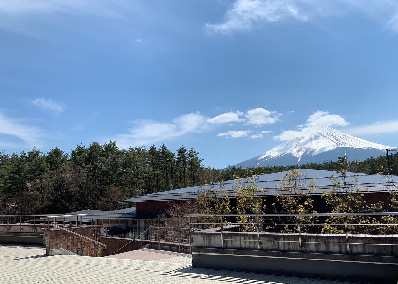 展望デッキの景色