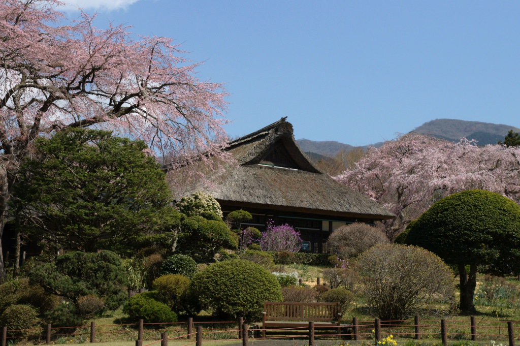 秩父宮記念公園の茅葺屋根の母屋