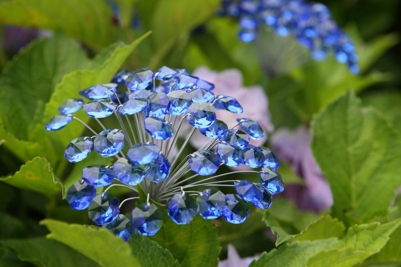 ガラスの紫陽花
