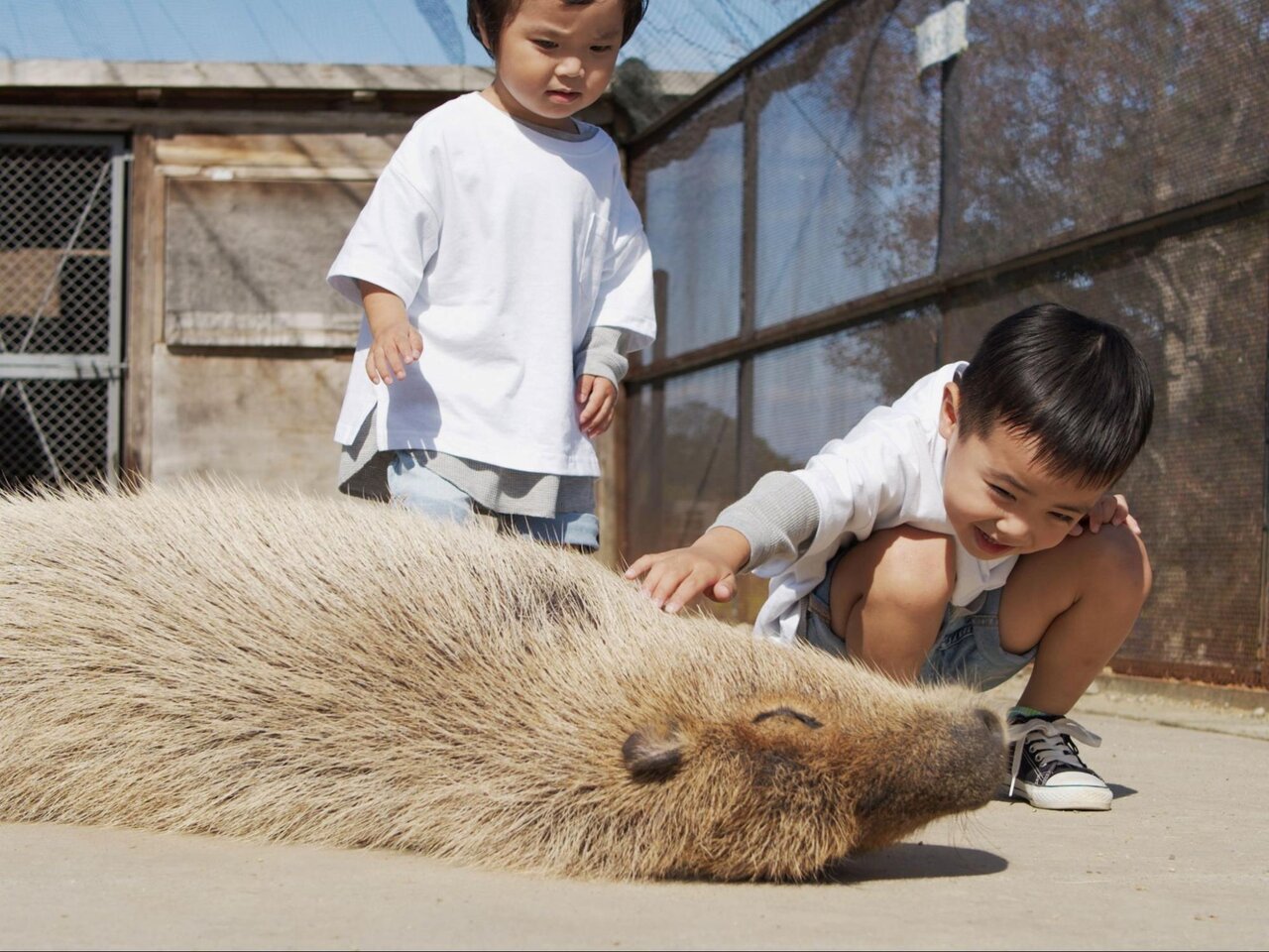 堺・緑のミュージアム ハーベストの丘のカピバラと触れ合う子ども達