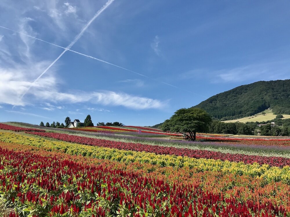 やくらいガーデンのふるるの丘