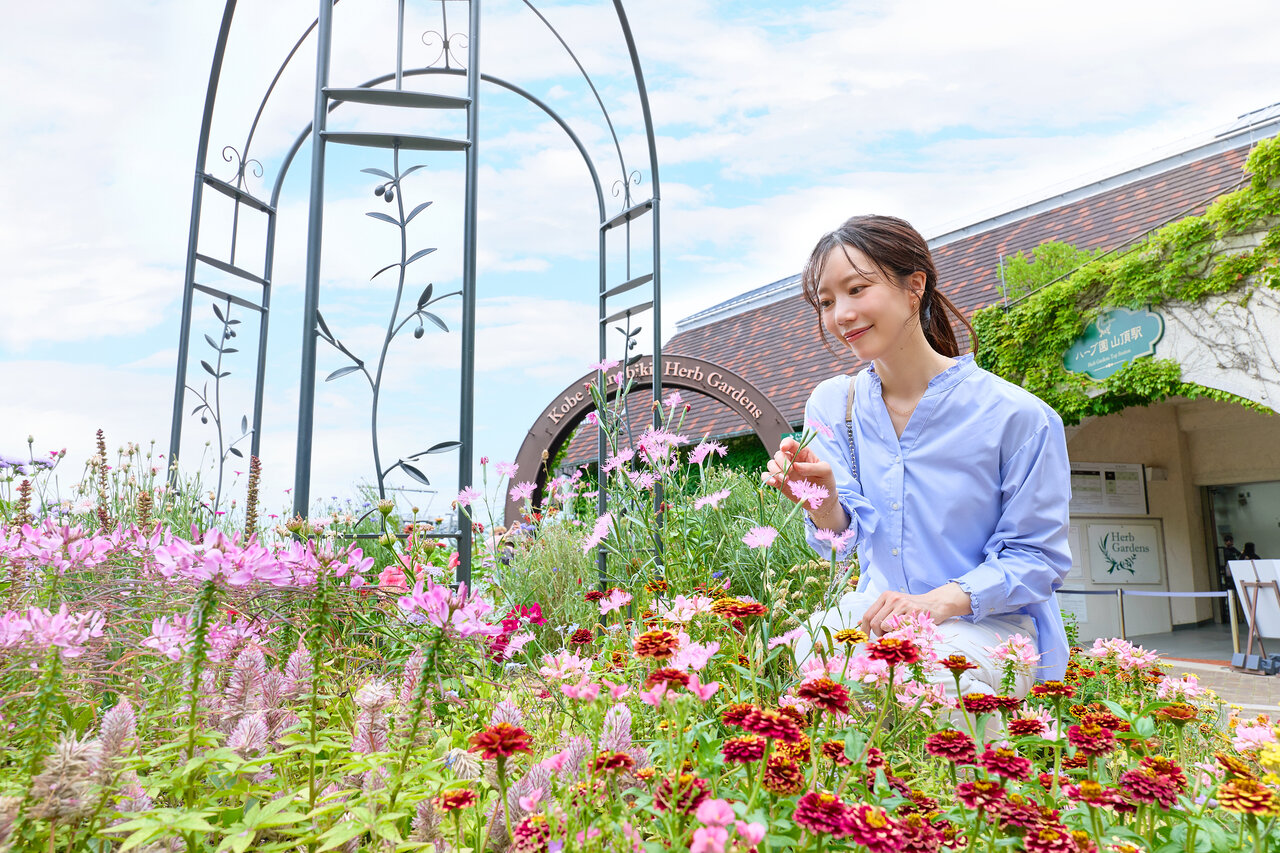 花を愛でる女性