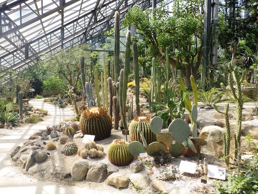 筑波実験植物園内で保存されている植物