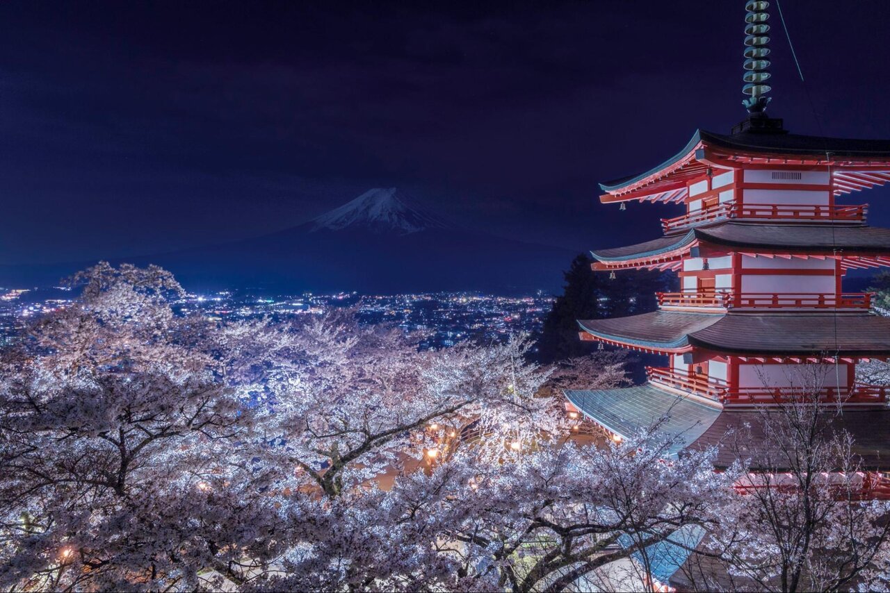 幻想的な夜桜の新倉山浅間公園