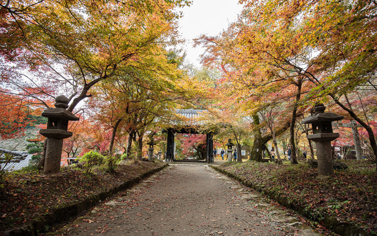 紅葉の秋月