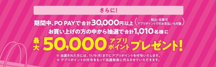 5,000ポイント抽選のフライヤー
