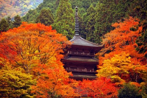 西天目瑞巖山 高源寺｜丹波市観光協会