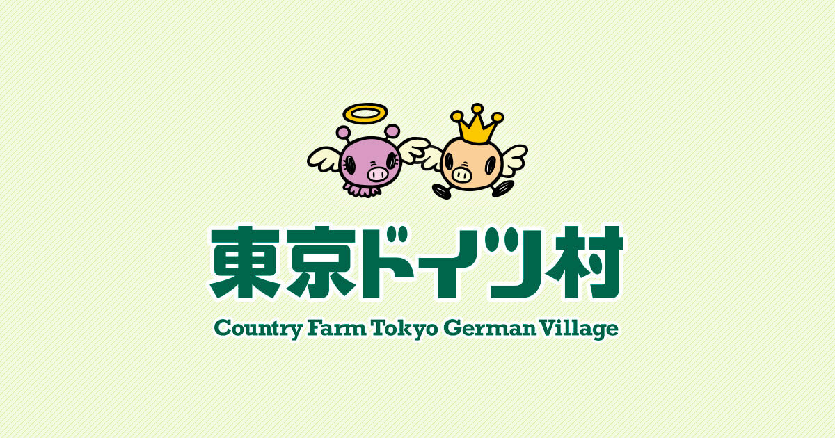 東京ドイツ村